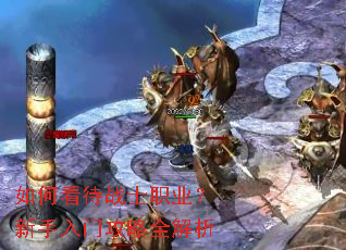 ��ο���սʿְҵ���������Ź���ȫ����