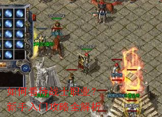 ��ο���սʿְҵ���������Ź���ȫ����