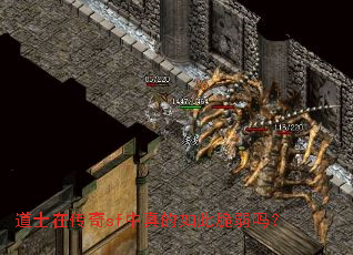 道士在传奇sf中真的如此脆弱吗? 道士在传奇sf中真的如此脆弱吗?