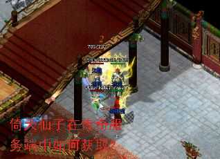 倚天仙子在传奇服务端中如何获取? 倚天仙子在传奇服务端中如何获取?