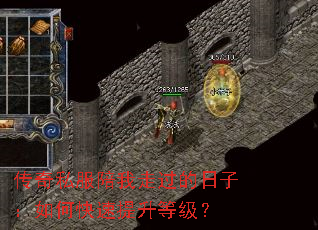 传奇私服陪我走过的日子:如何快速提升等级? 传奇私服陪我走过的日子:如何快速提升等级?