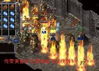 传奇黄金护卫在哪里可以找到? 传奇黄金护卫在哪里可以找到?