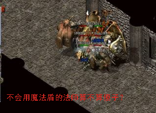 不会用魔法盾的法师算不算傻子? 不会用魔法盾的法师算不算傻子?