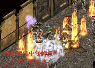 热血传奇中怪物资料获取攻略有哪些? 热血传奇中怪物资料获取攻略有哪些?