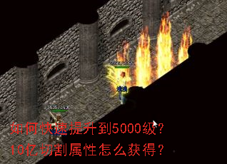 如何快速提升到5000级?10亿切割属性怎么获得? 如何快速提升到5000级?10亿切割属性怎么获得?