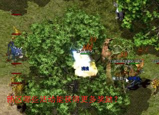 新区哪些活动能获得更多奖励? 新区哪些活动能获得更多奖励?