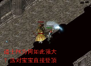 道士PK为何如此强大?选对宝宝直接登顶 道士PK为何如此强大?选对宝宝直接登顶