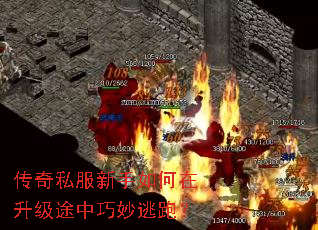 传奇私服新手如何在升级途中巧妙逃跑? 传奇私服新手如何在升级途中巧妙逃跑?