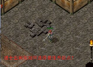 道士出狗前如何选择最佳升级点? 道士出狗前如何选择最佳升级点?