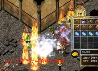 如何获取游戏中的特殊装备? 如何获取游戏中的特殊装备?