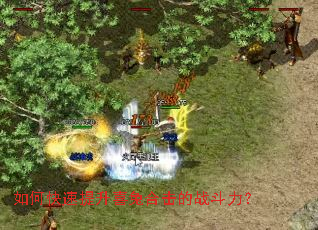 ��ο�������ϲ�úϻ���ս������