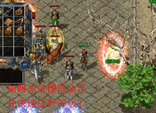 ��θ�Ч׬ȡ��Ҳ����������ȼ���