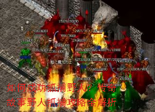 ��γɹ�ץ��Ұ�ˣ��������Ұ��ץ������ȫ����