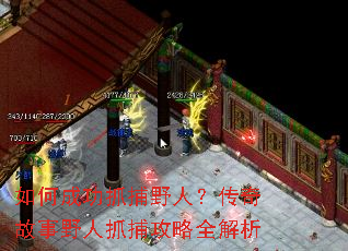 ��γɹ�ץ��Ұ�ˣ��������Ұ��ץ������ȫ����