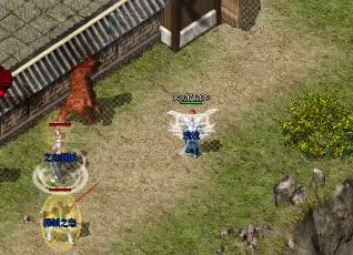 传奇私服土豪到底选择战士还是道士