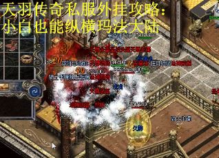 天羽传奇私服外挂攻略：小白也能纵横玛法大陆