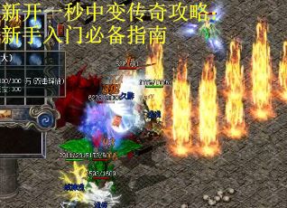 新开一秒中变传奇攻略：新手入门必备指南