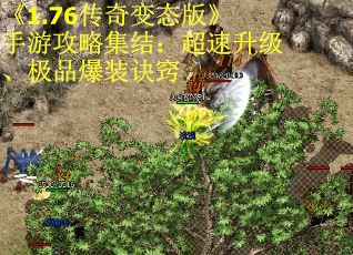 《1.76传奇变态版》手游攻略集结：超速升级、极品爆装诀窍