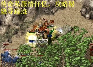 传奇私服情怀忆，攻略秘籍寻踪迹