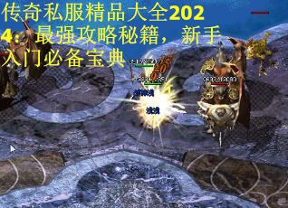 传奇私服精品大全2024：最强攻略秘籍，新手入门必备宝典