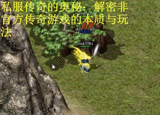 私服传奇的奥秘：解密非官方传奇游戏的本质与玩法