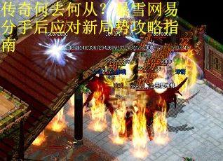 传奇何去何从？暴雪网易分手后应对新局势攻略指南