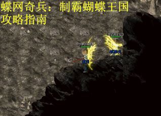 蝶网奇兵：制霸蝴蝶王国攻略指南