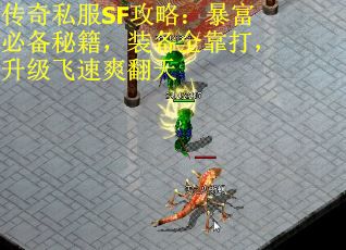传奇私服SF攻略：暴富必备秘籍，装备全靠打，升级飞速爽翻天