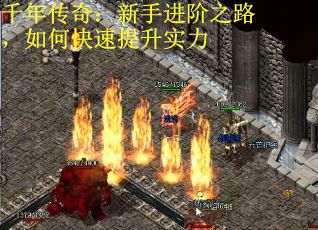 千年传奇：新手进阶之路，如何快速提升实力