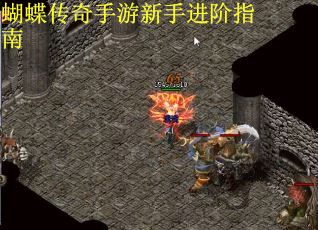 蝴蝶传奇手游新手进阶指南