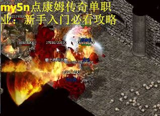 my5n点康姆传奇单职业：新手入门必看攻略