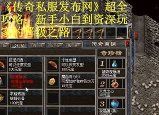 《传奇私服发布网》超全攻略：新手小白到资深玩家的晋级之路