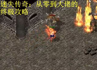 迷失传奇：从零到大佬的终极攻略