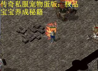 传奇私服宠物蛋版：极品宝宝养成秘籍
