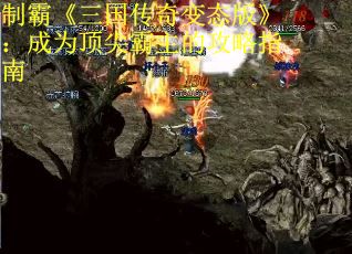 制霸《三国传奇变态版》：成为顶尖霸主的攻略指南