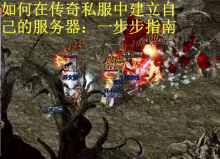 如何在传奇私服中建立自己的服务器：一步步指南