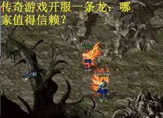 传奇游戏开服一条龙：哪家值得信赖？
