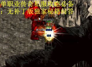单职业传奇私服攻略必备：无补丁版独家秘籍问答