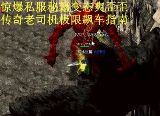 惊爆私服秘籍变态爽歪歪传奇老司机极限飙车指南