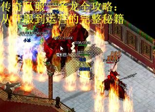 传奇私服一条龙全攻略：从开服到运营的完整秘籍