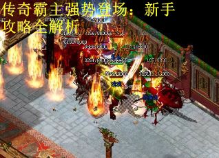 传奇霸主强势登场：新手攻略全解析