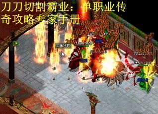 刀刀切割霸业：单职业传奇攻略专家手册