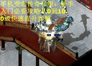 手机变态传奇私服：新手入门必看攻略从0到100级快速提升详解