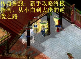 传奇私服：新手攻略终极指南，从小白到大佬的逆袭之路