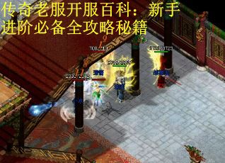 传奇老服开服百科：新手进阶必备全攻略秘籍