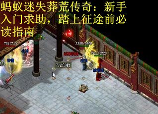 蚂蚁迷失莽荒传奇：新手入门求助，踏上征途前必读指南
