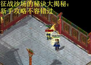征战沙场的秘诀大揭秘：新手攻略不容错过