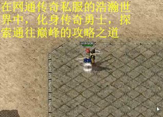 在网通传奇私服的浩瀚世界中，化身传奇勇士，探索通往巅峰的攻略之道