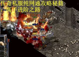 传奇私服纯网通攻略秘籍：高手进阶之路