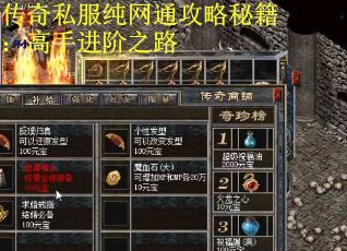 传奇私服纯网通攻略秘籍：高手进阶之路